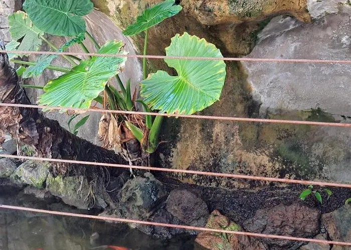 アパート Casa Petri