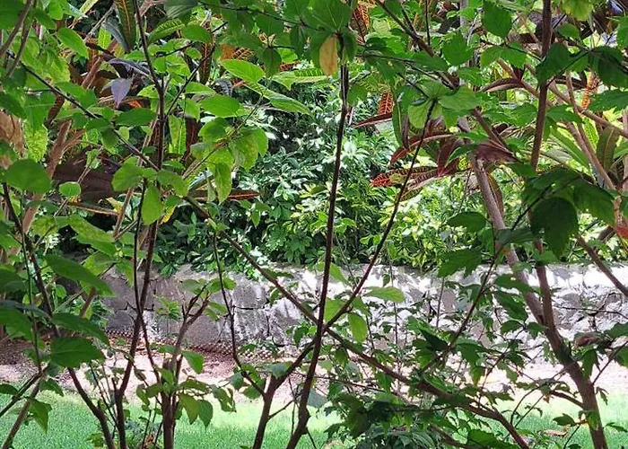 アパート Casa Petri *